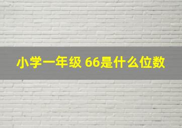 小学一年级 66是什么位数